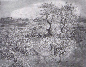 Gustave CAILLEBOTTE - Pommiers en fleurs, Argenteuil