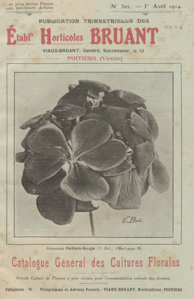 1914 Viaud_Bruant Dahlia et Penstemon couverture catalogue