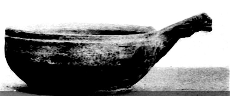 GV2330-Coupe de forme hémisphérique