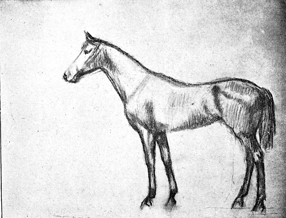 GV2320-Edgar DEGAS-Cheval